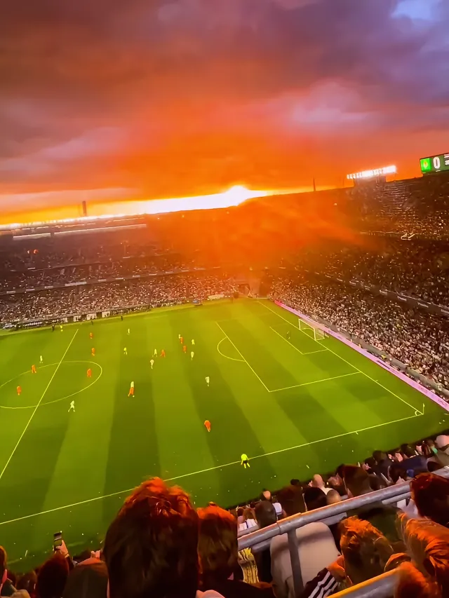 蒂姆迎来十五赛季出色发挥，皇家马德里观众热烈欢呼！热度持续攀升的简单介绍